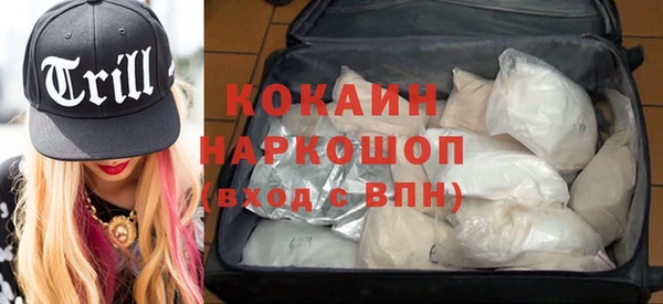 сатива Зерноград