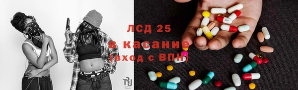 сатива Зерноград