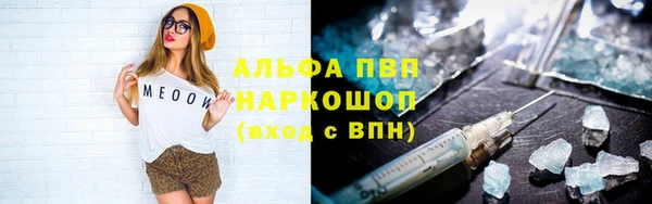 сатива Зерноград