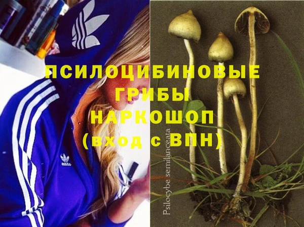 сатива Зерноград