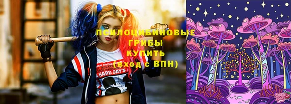 сатива Зерноград