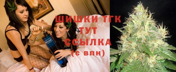 сатива Зерноград