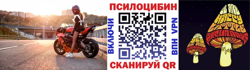 Псилоцибиновые грибы Psilocybine cubensis  Купить  Камбарка 