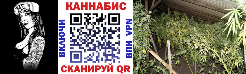 МАРИХУАНА Ganja Купить закладки Камбарка